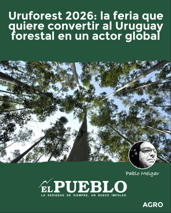 Uruforest 2026: la feria que quiere convertir al Uruguay forestal en un actor global